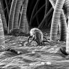 Bed Bugs – Parliament Parasites