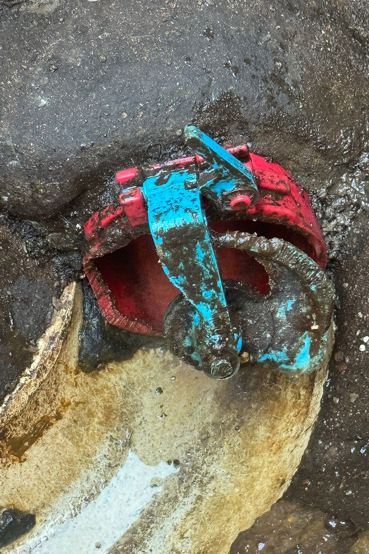 Isca Pest Control - a common, costly mistake is opting for a cheap, low-quality non-return valves in drains